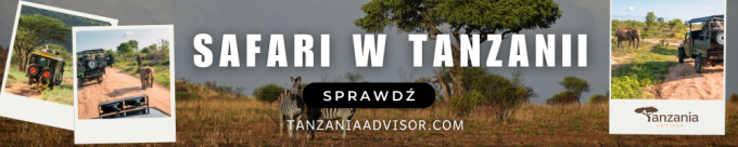 Safari w Tanzanii
